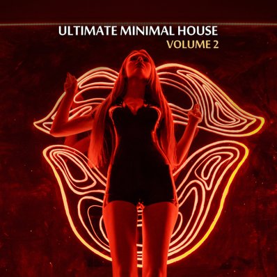 Ultimate Minimal House Vol.2